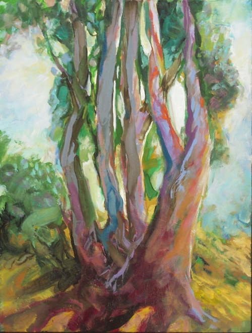 Image 4-5