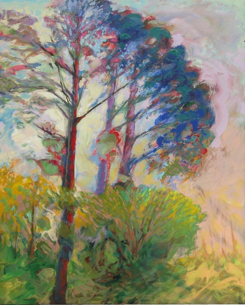 Image 4-8